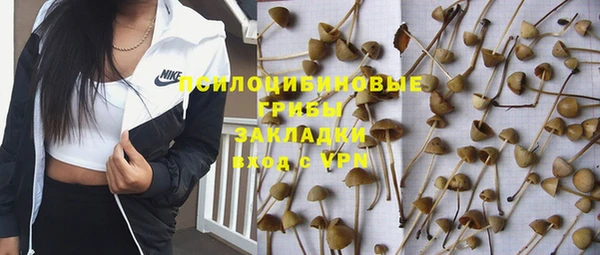 метадон Бородино