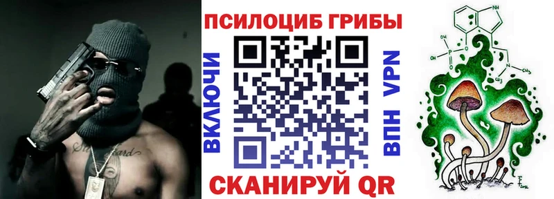 купить закладку  Киров  МЕГА маркетплейс  Псилоцибиновые грибы Psilocybe 
